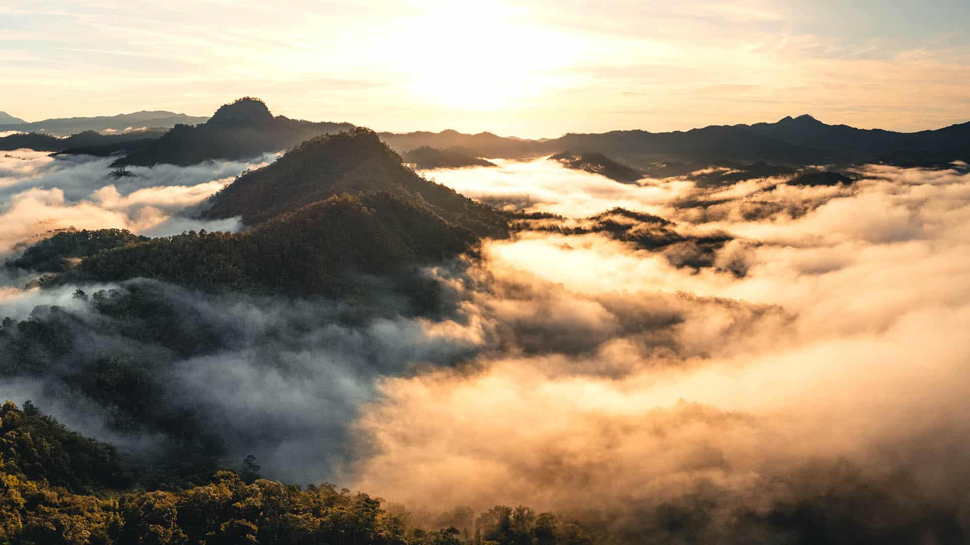 Umweltschutz als Unternehmensziel